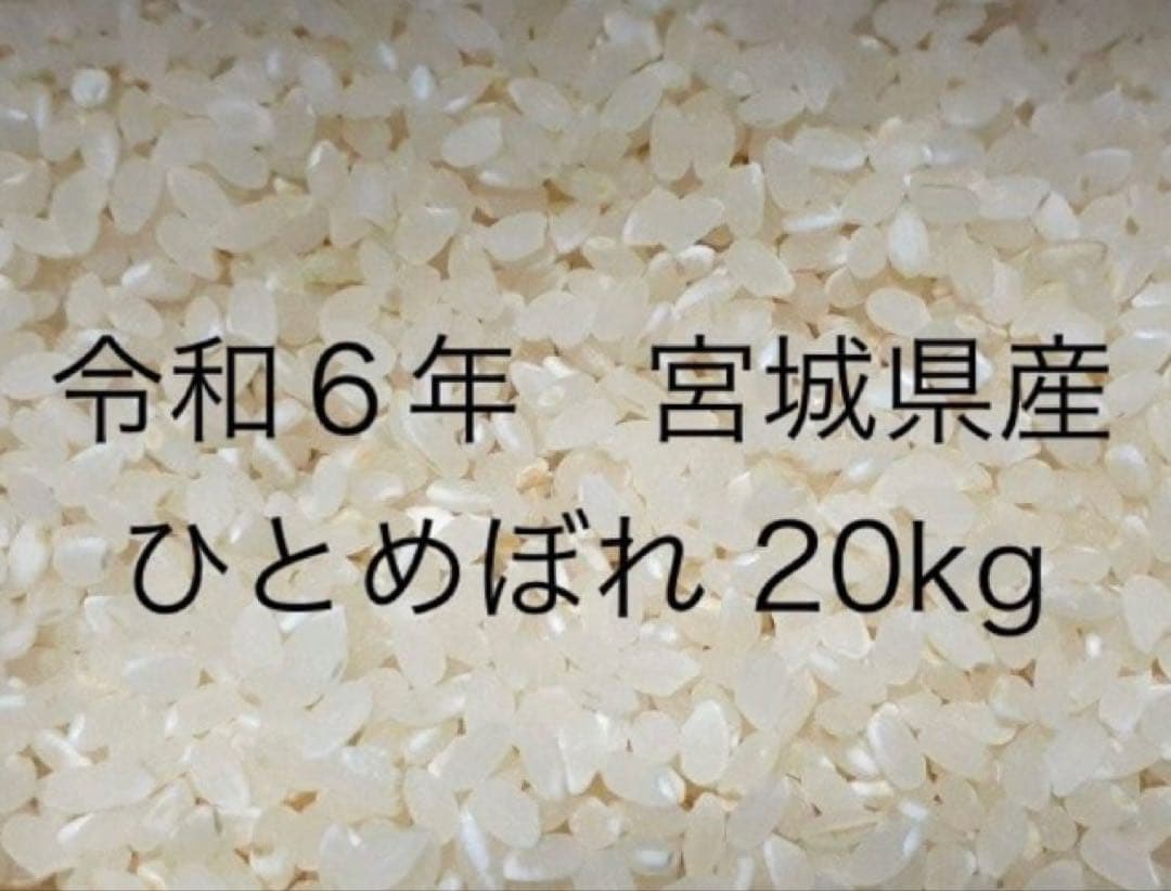 宮城県産　ひとめぼれ　令和６年産　20キロ