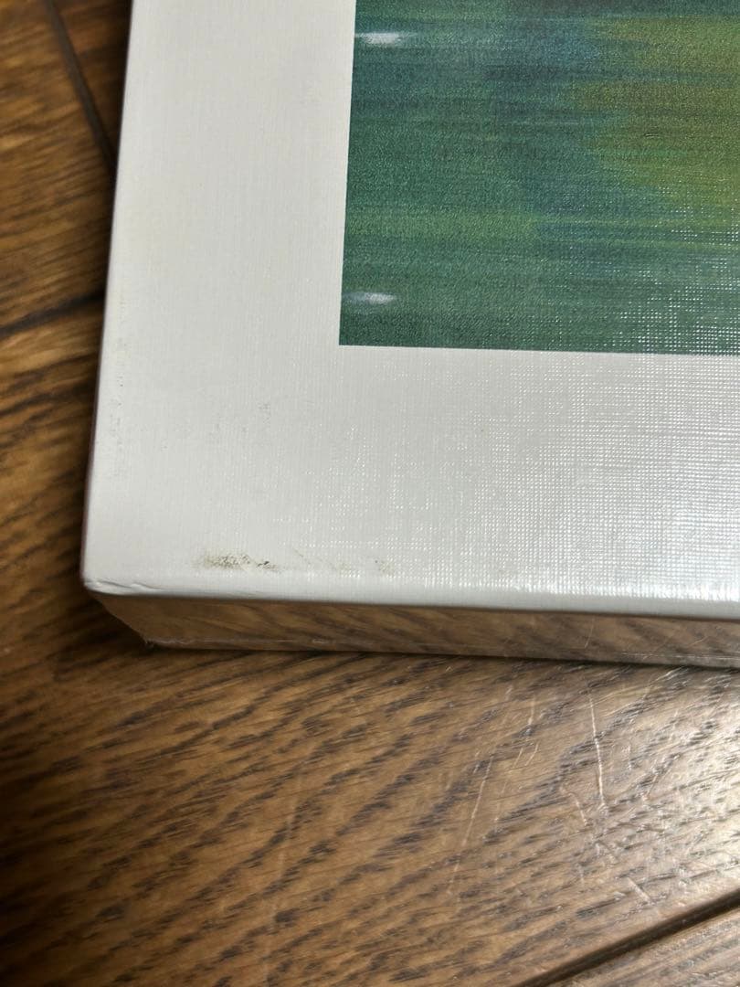 【TDL限定】ジグソーパズル1000ピース　カヌー探検　ミッキーミニーグーフィー