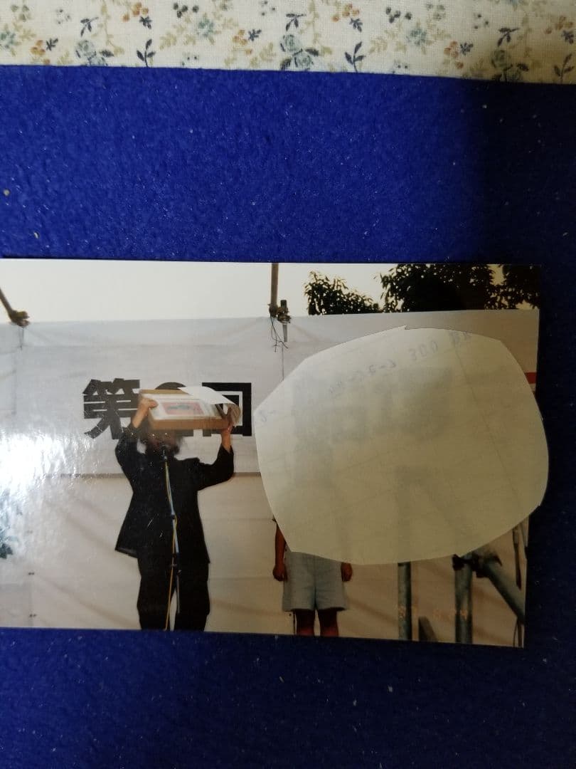 青沼茜雲。油絵。『祝い松』