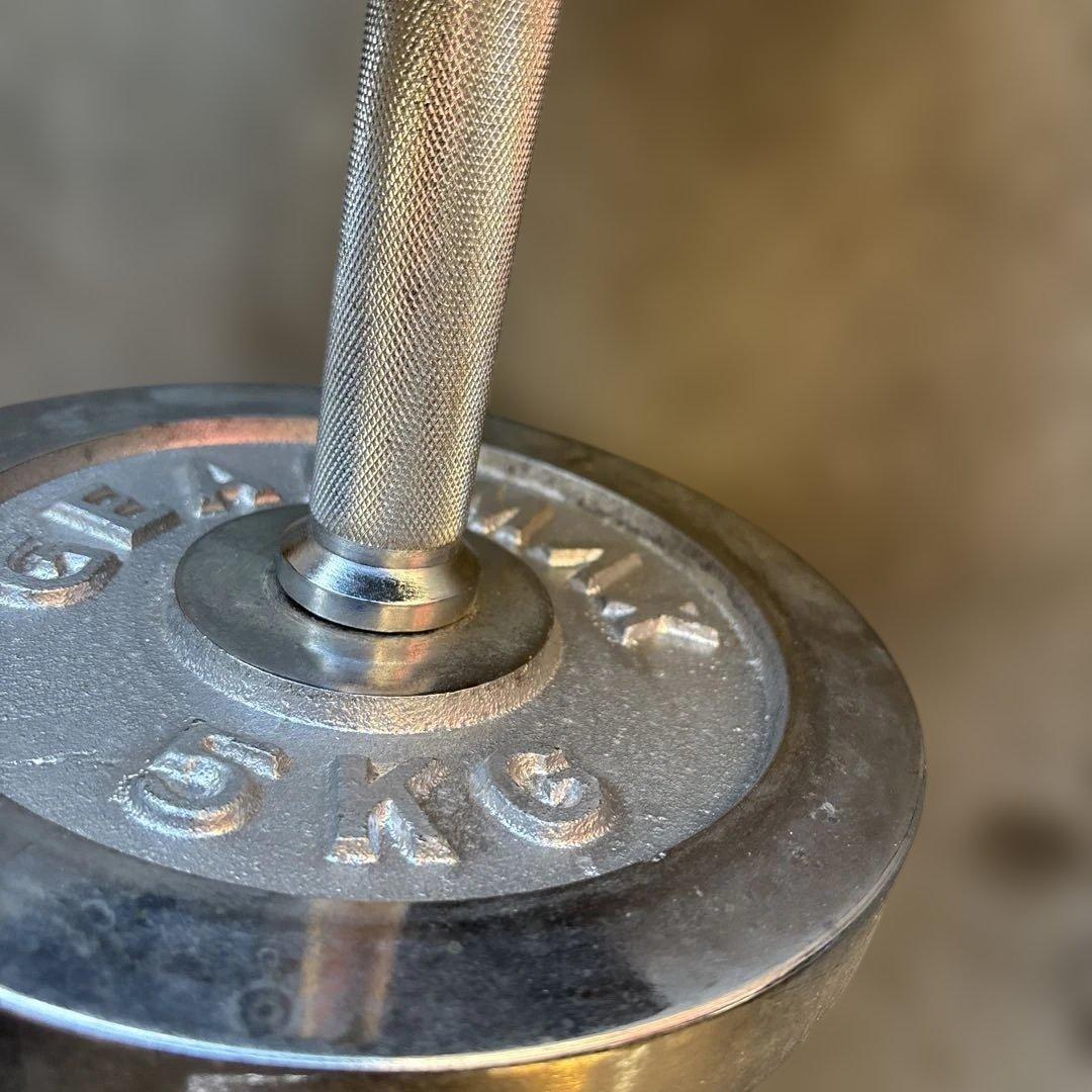 QW4670AUSSIE ダンベルセット　5kg × 2 1.25kg×4