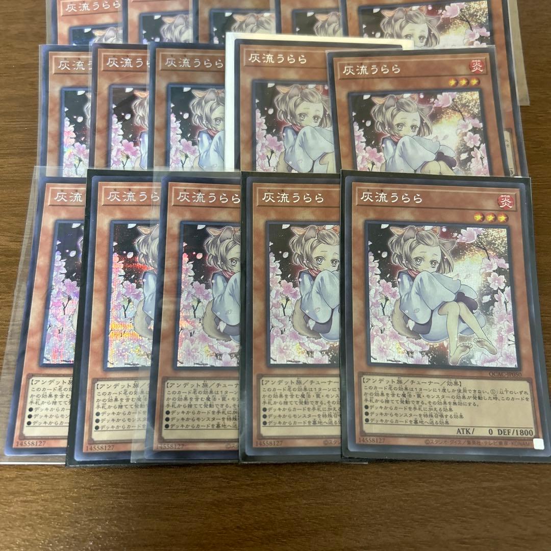 遊戯王 灰流うらら シークレット 絵違い　20枚