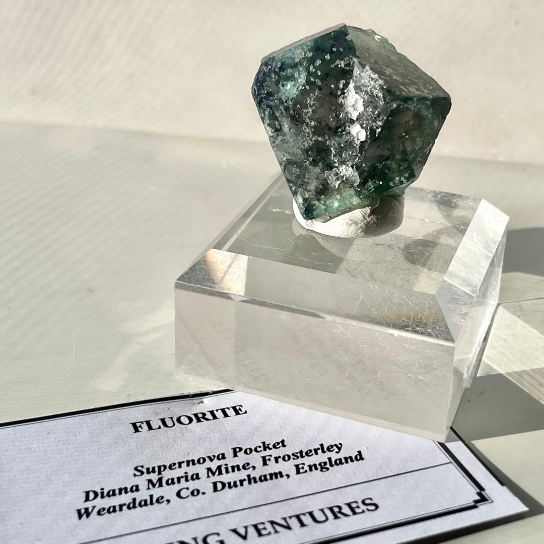 481 UK イギリス Supernova Pocket フローライト