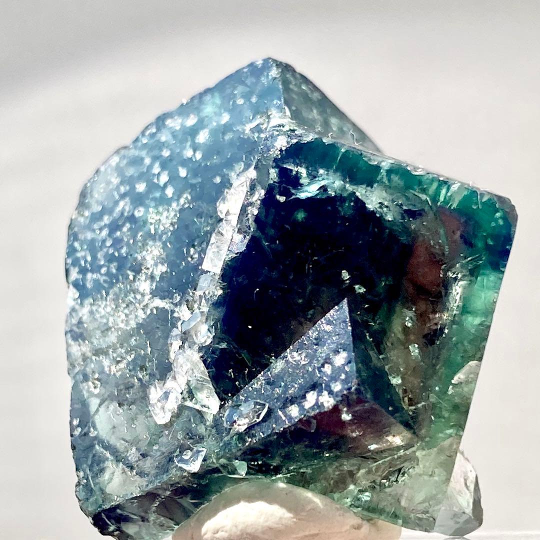 481 UK イギリス Supernova Pocket フローライト