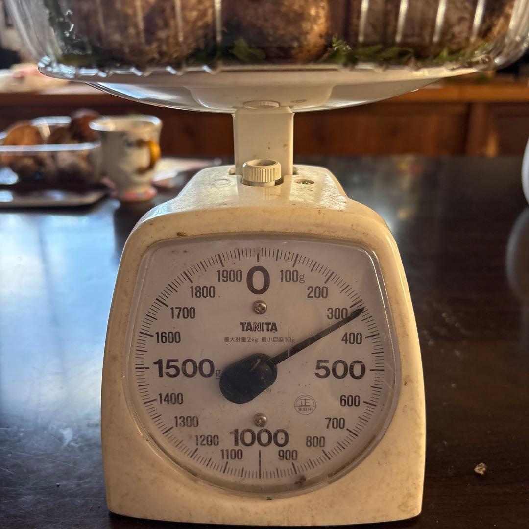 【訳あり】松茸　320g 信州長野県産