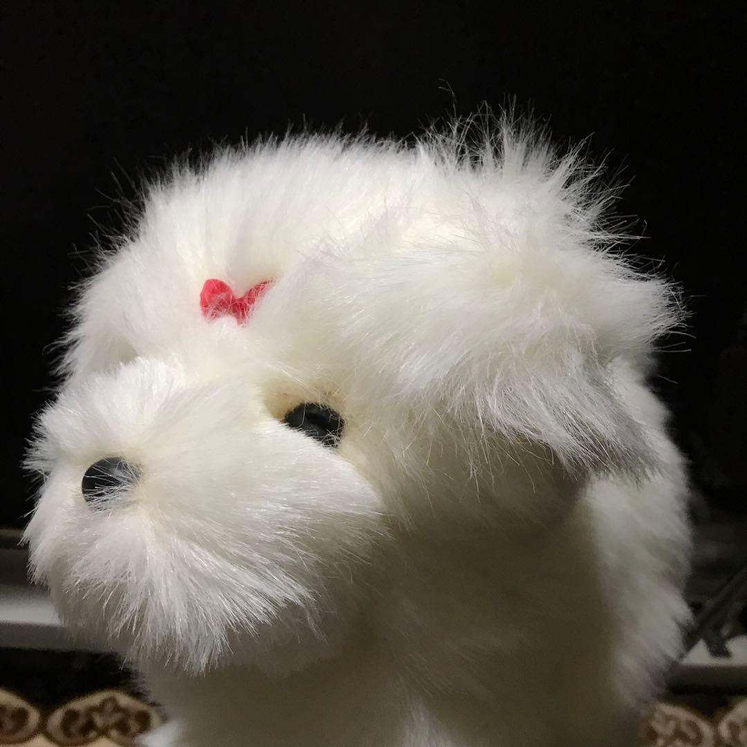 ぬいぐるみ　犬　マルチーズ　ファースト社　タグ付き　美品❣️