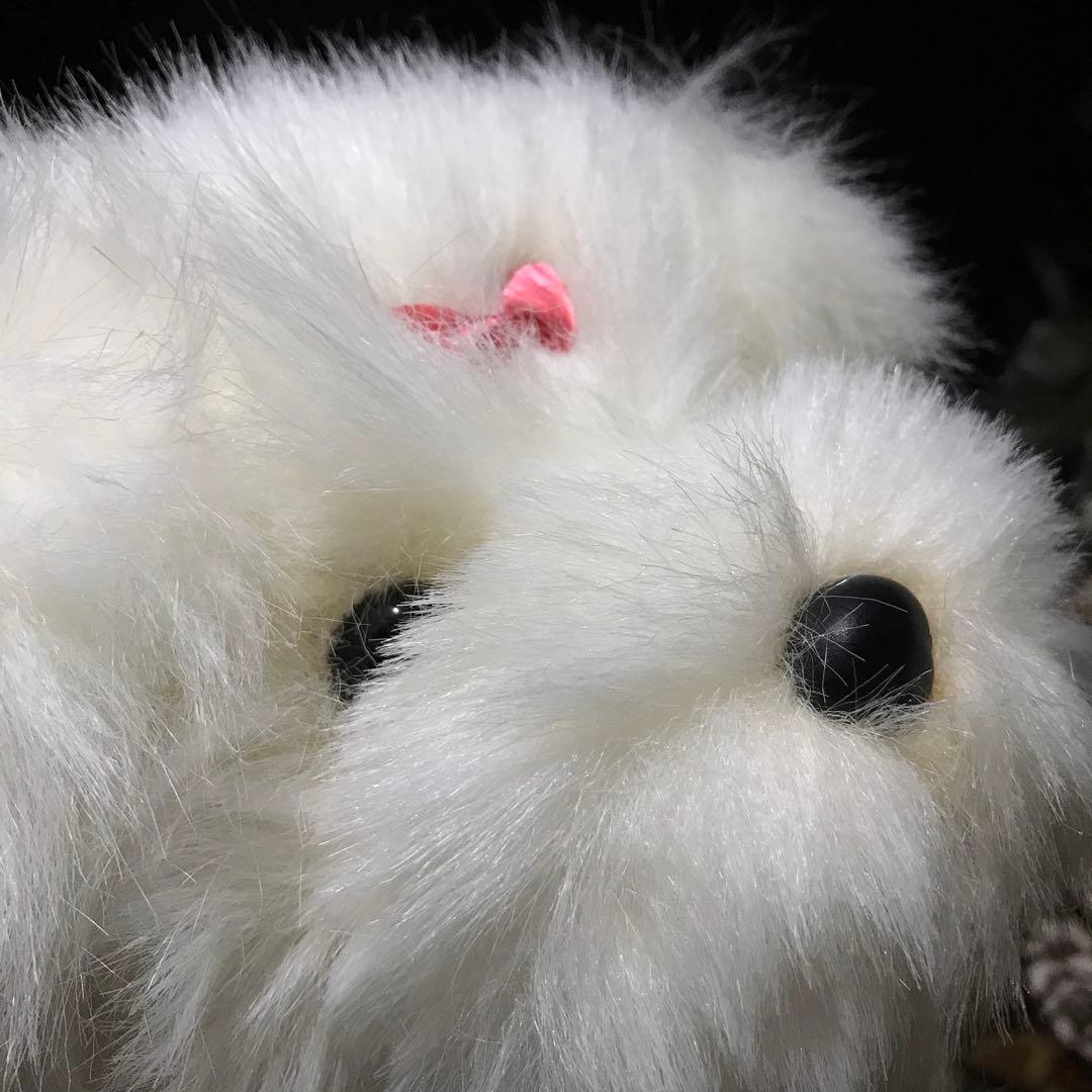 ぬいぐるみ　犬　マルチーズ　ファースト社　タグ付き　美品❣️