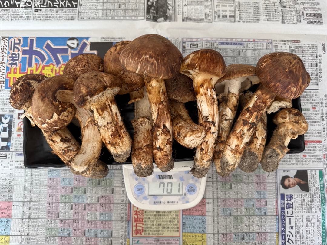 モカPmama様　依頼品