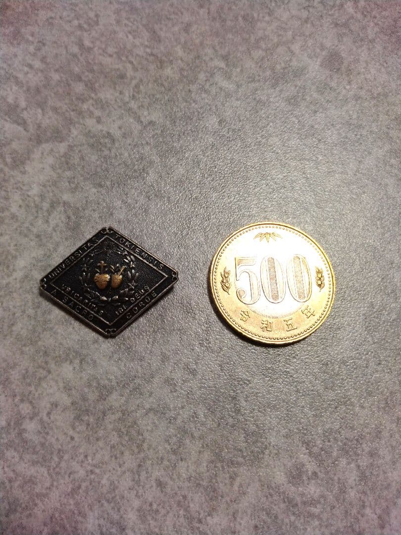 聖心女子学院 聖心女子大学 校章　SILVER