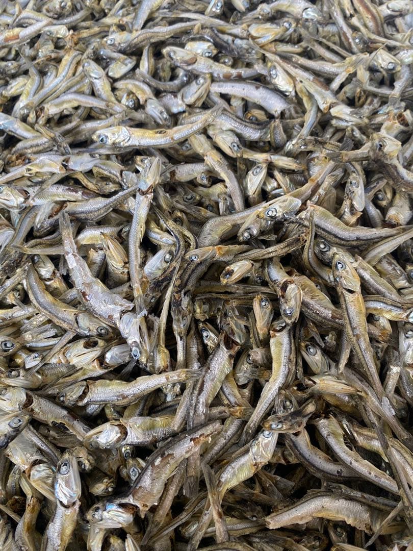 煮干しいわし 7.5kg 箱売り