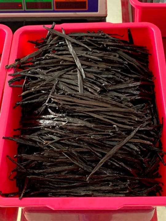 【45%OFF】バニラビーンズ 15cm以上 500g