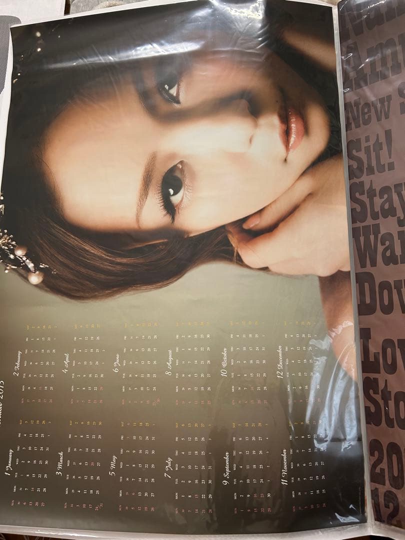 安室奈美恵ポスター14枚セット＋1枚オマケ