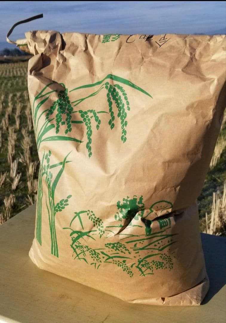 令和7年 熊本県産 くまさんの輝き20Kg 玄米可