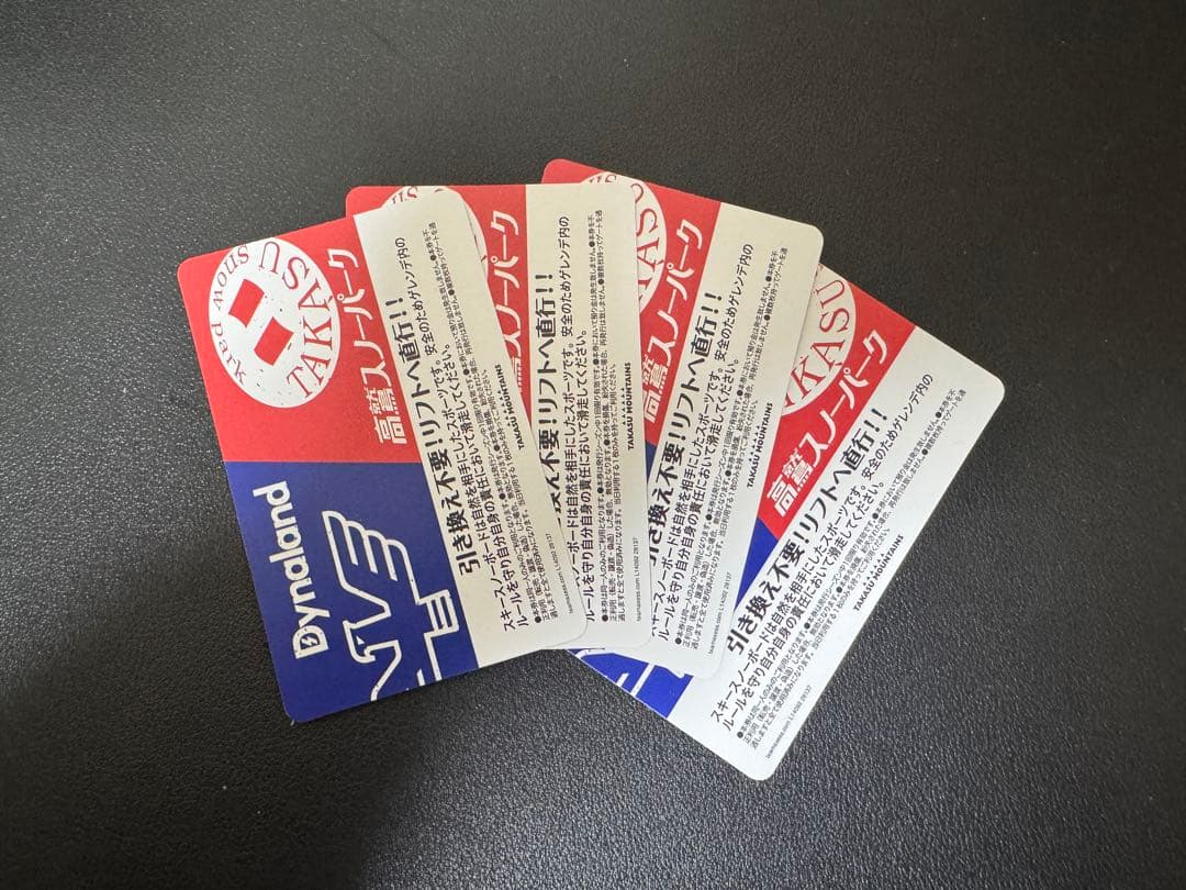 高鷲スノーパーク＆ダイナランド共通1日券