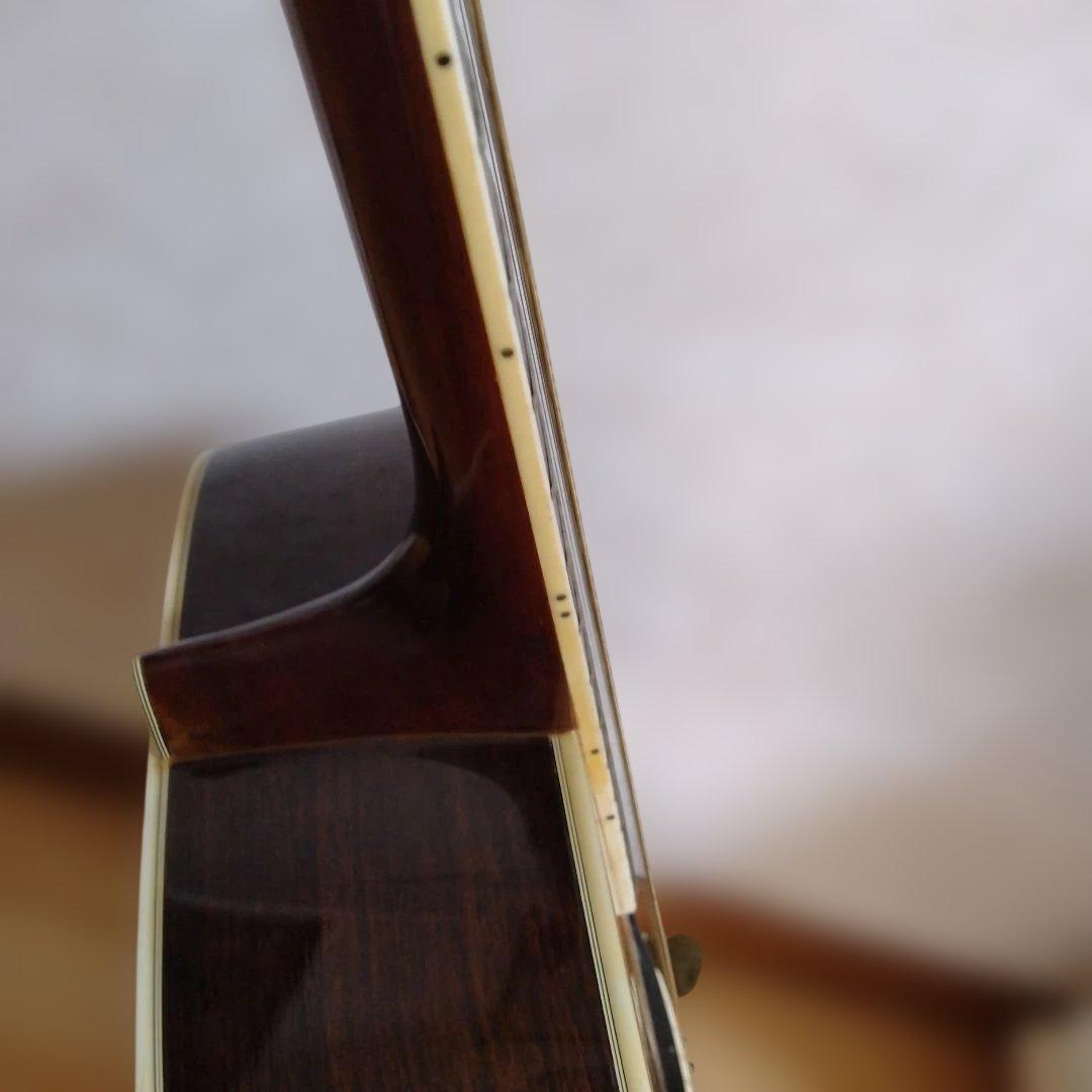 Morris W-80 アコースティックギター