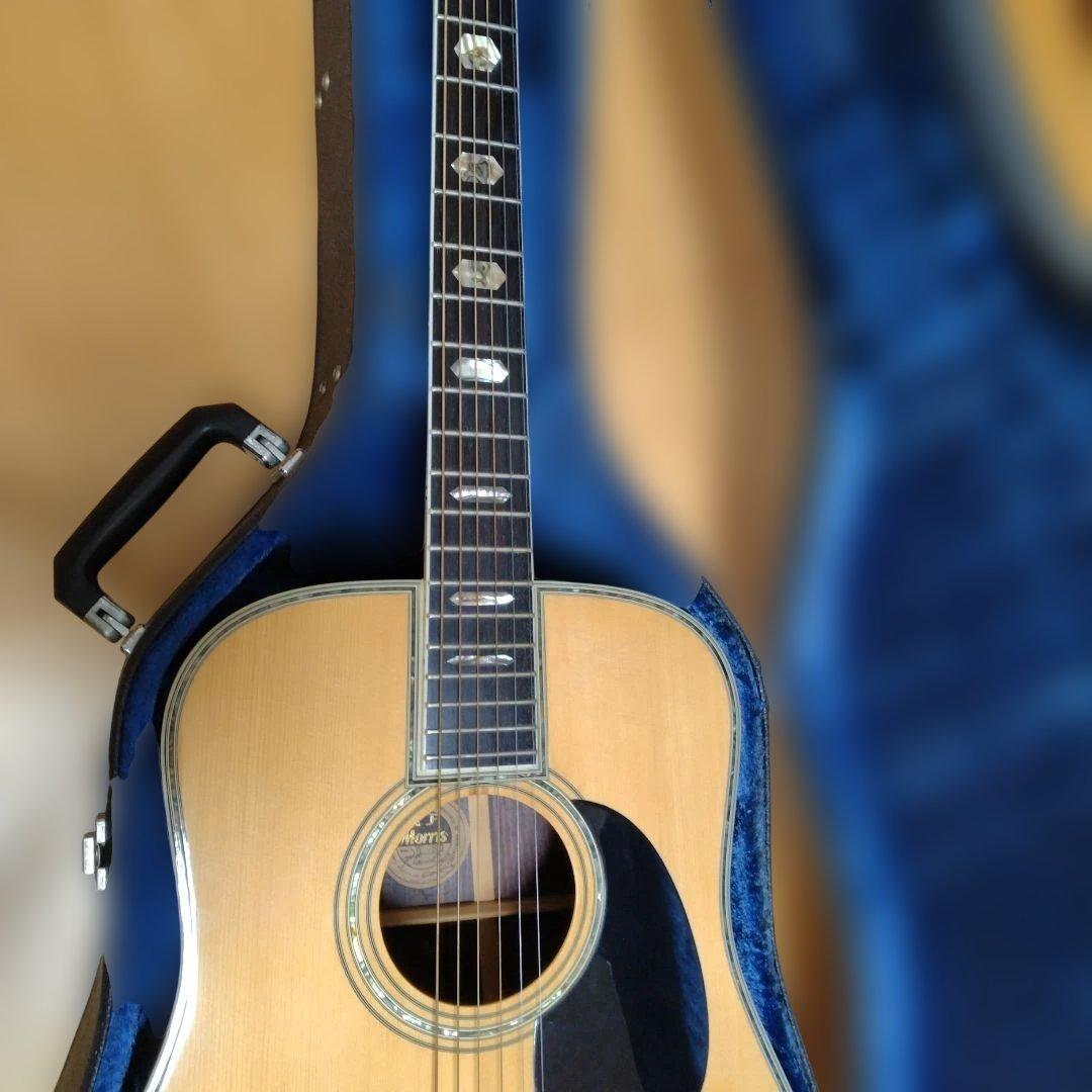 Morris W-80 アコースティックギター