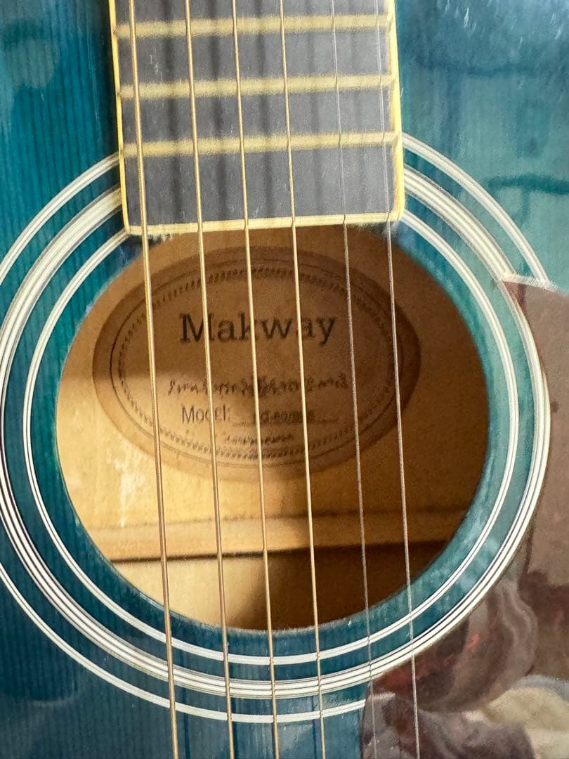 Makway アコースティックギター L-200 ブルー