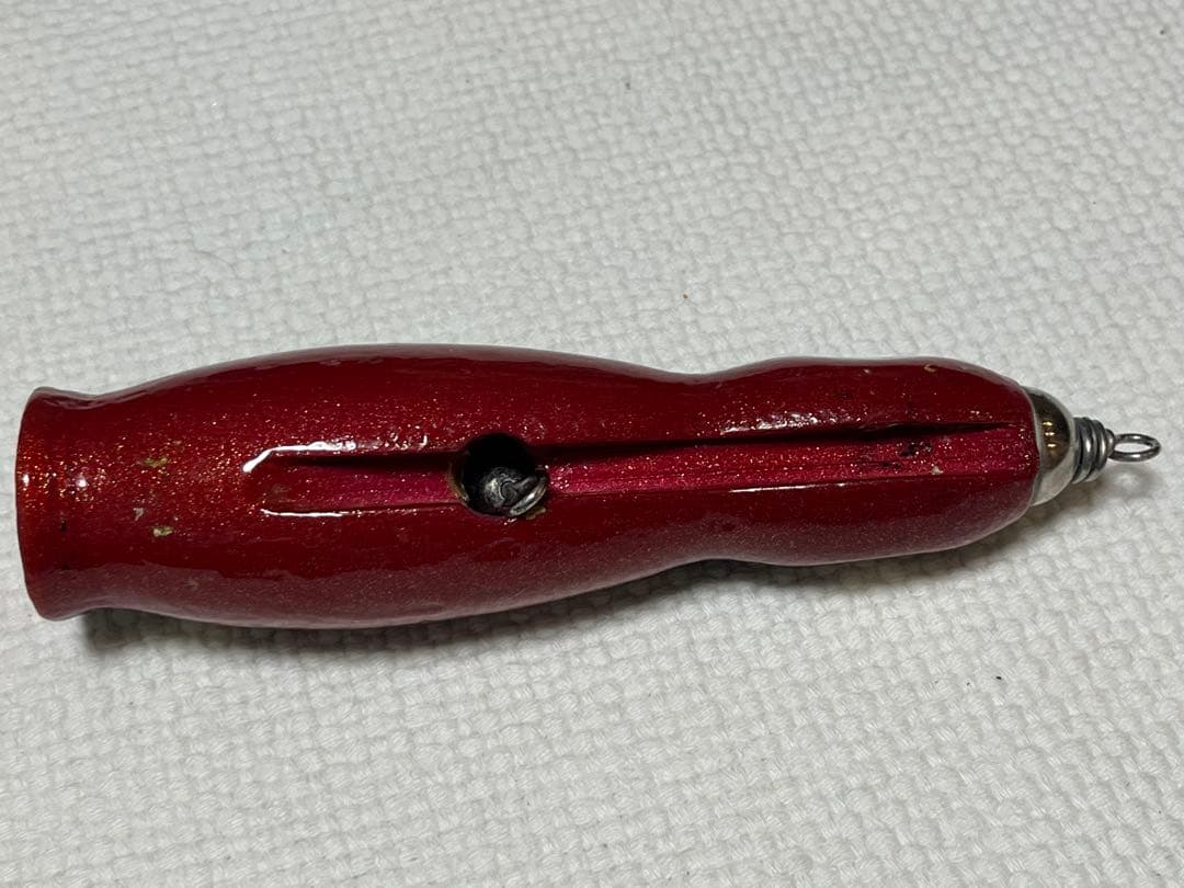 イラブチャー　♀ カーペンター　carpenter γ BF