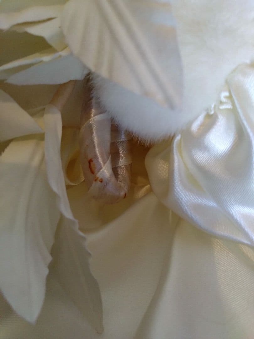 vivitix 1999年 ハローキティ ウェディング 白