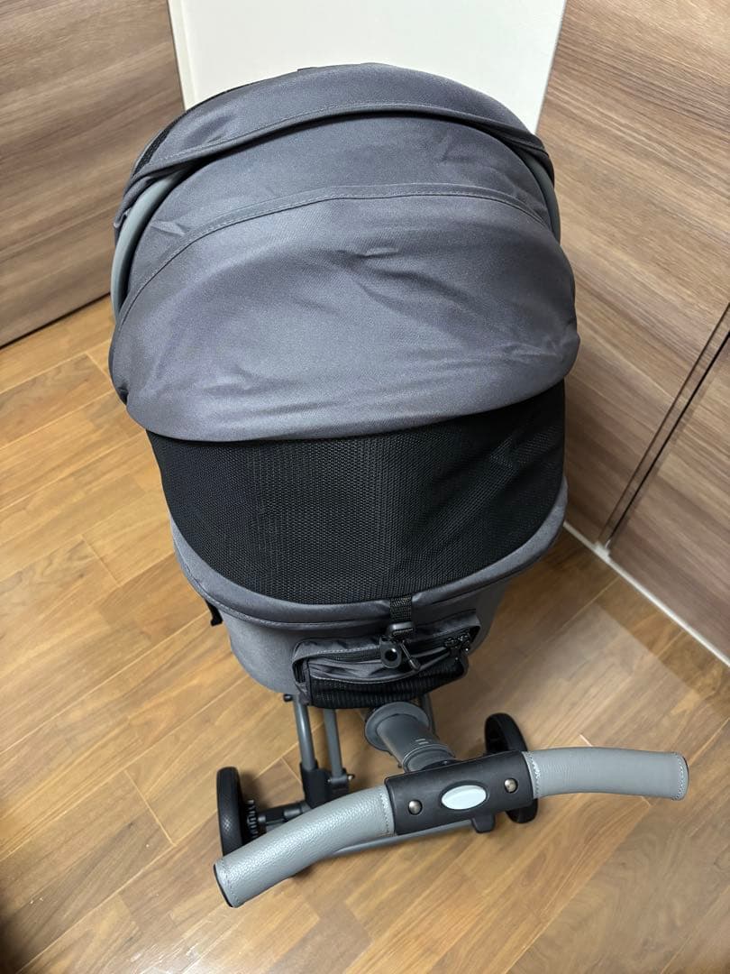 エアバギー　WIZX AIRBUGGY