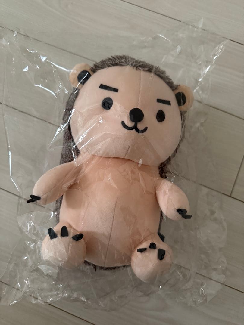 SF9 ユテヤン ハリネズミ ぬいぐるみ
