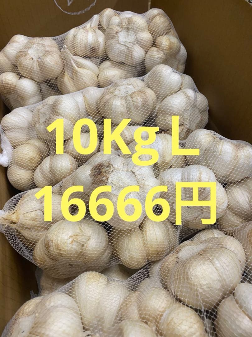 新物　青森県にんにく10Kg Ｌ　お買得