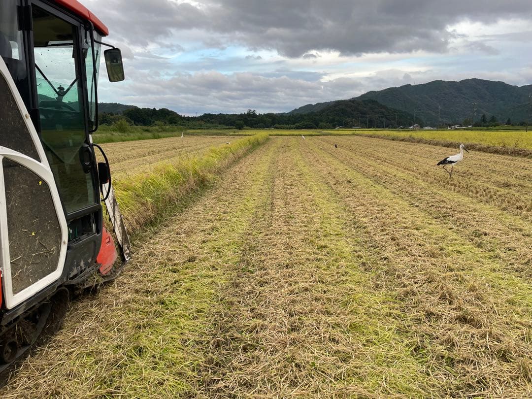 ② ゆうだい21 （白米3kg）・コシヒカリ（白米5kg）セット