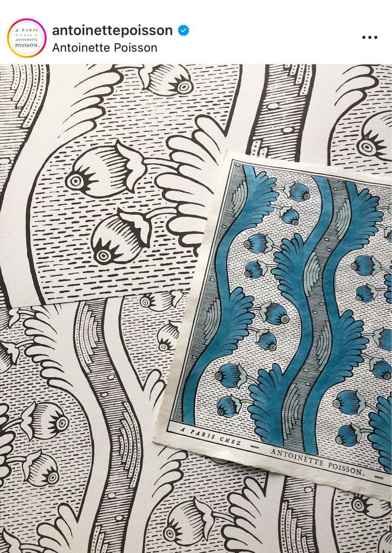 アントワネット・ポワソン　ドミノペーパー Grenades グレネード　額装