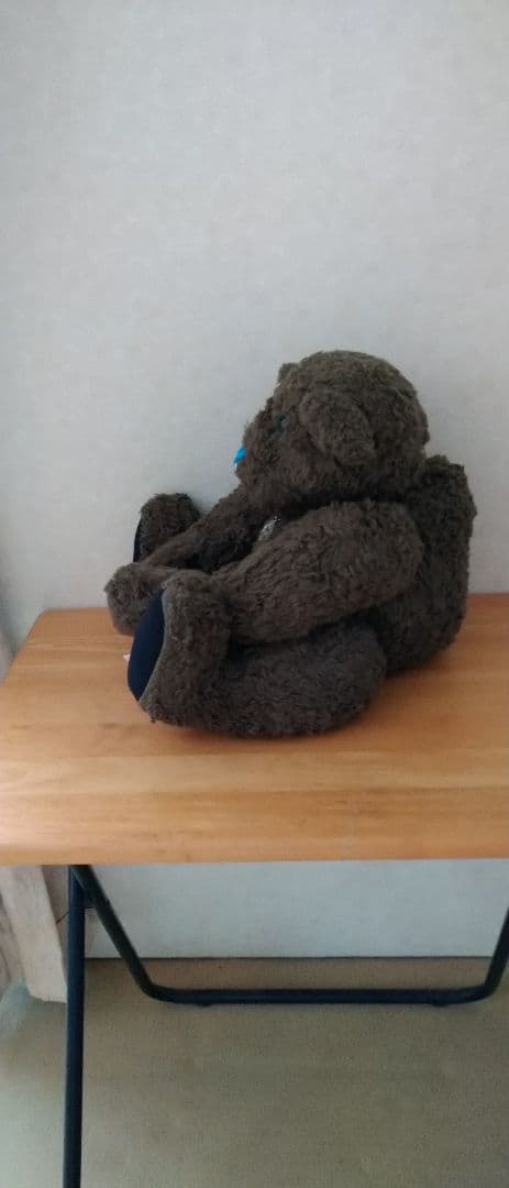 藤井フミヤ　ファン必見！ ファンクラブ限定　テディベア