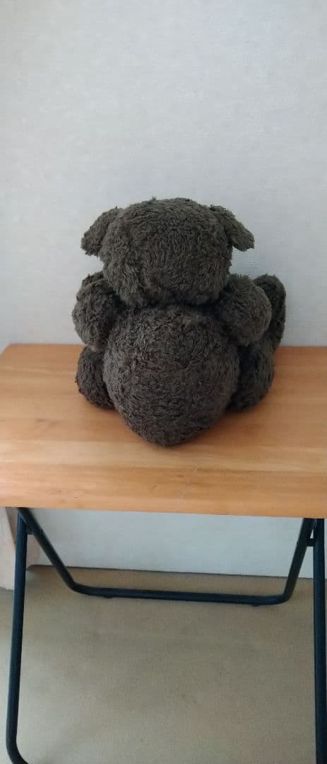 藤井フミヤ　ファン必見！ ファンクラブ限定　テディベア