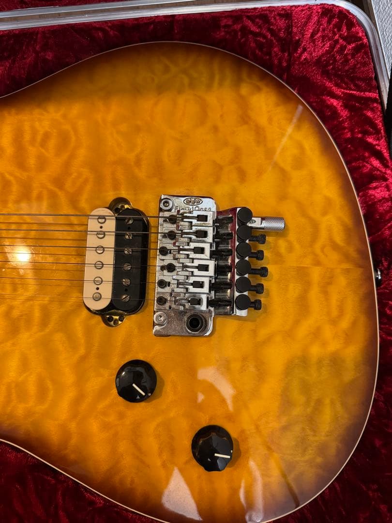 EVH WOLFGANG SPECIAL TBSレフティ
