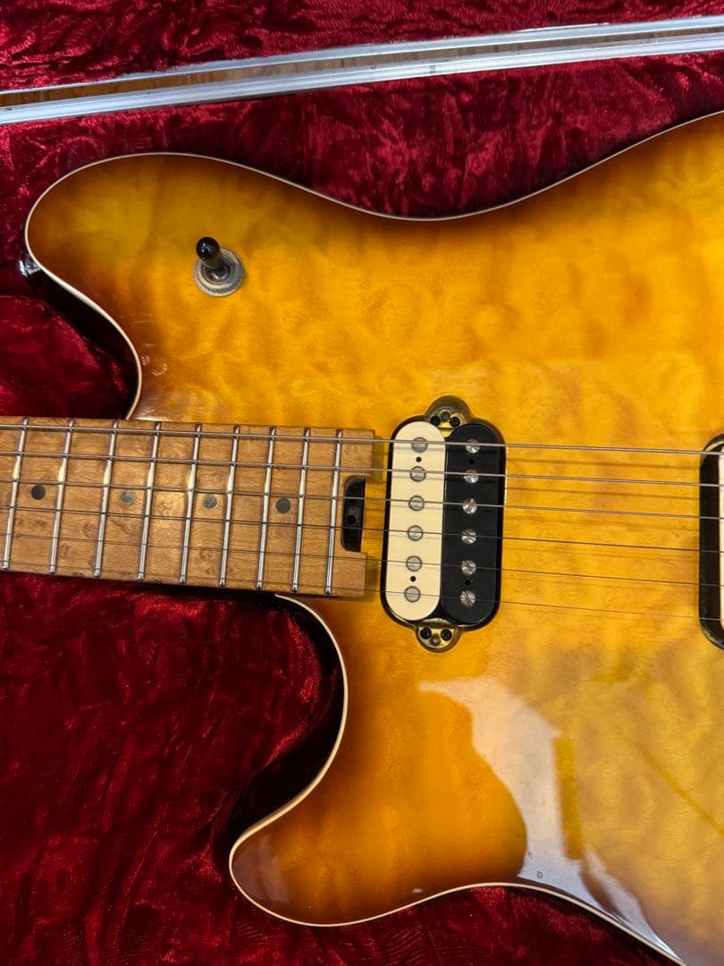 EVH WOLFGANG SPECIAL TBSレフティ