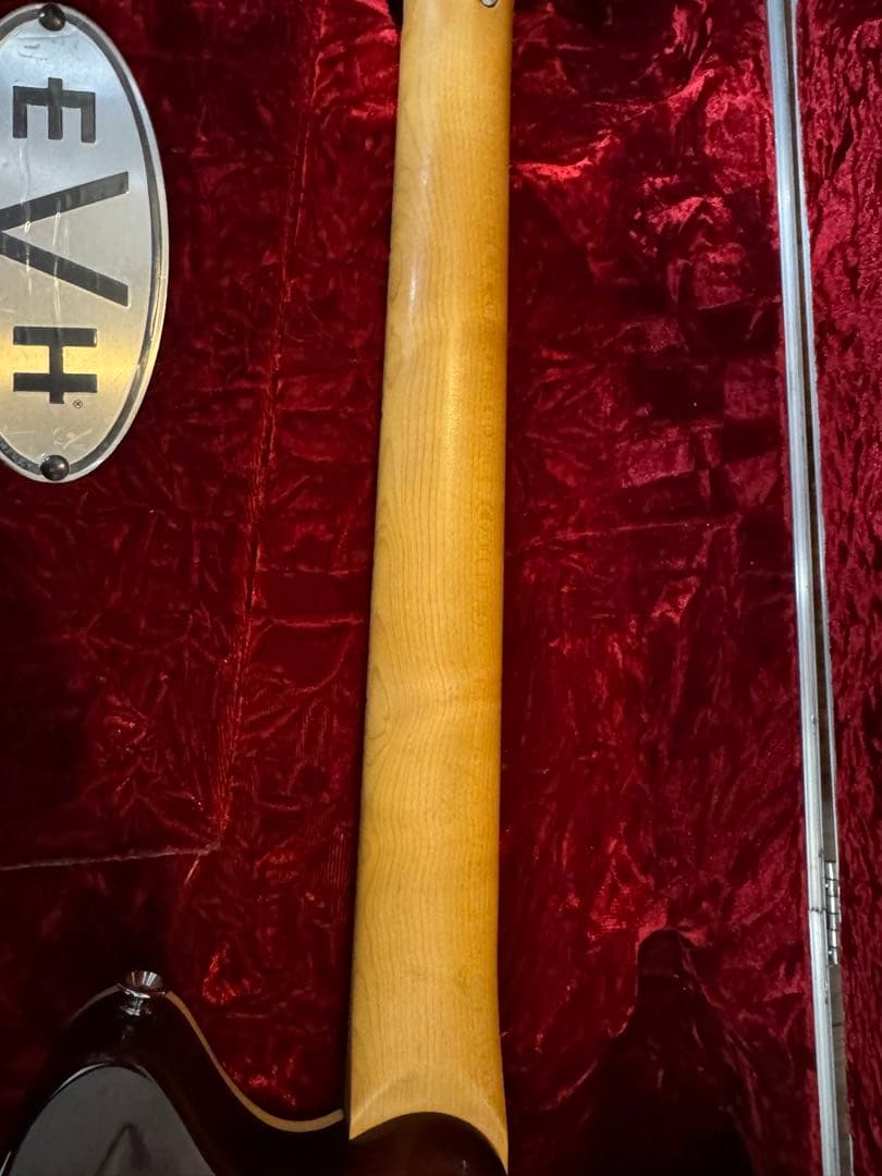 EVH WOLFGANG SPECIAL TBSレフティ