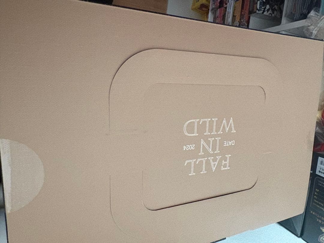 s*o様 POPMART FALL IN WILD labubu ラブブ