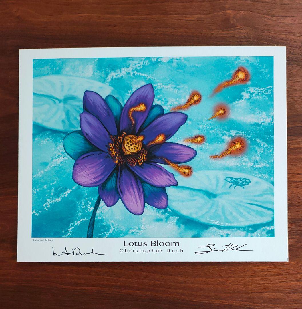 アートプリント　睡蓮の花　Lotus Bloom MTG　複製原画