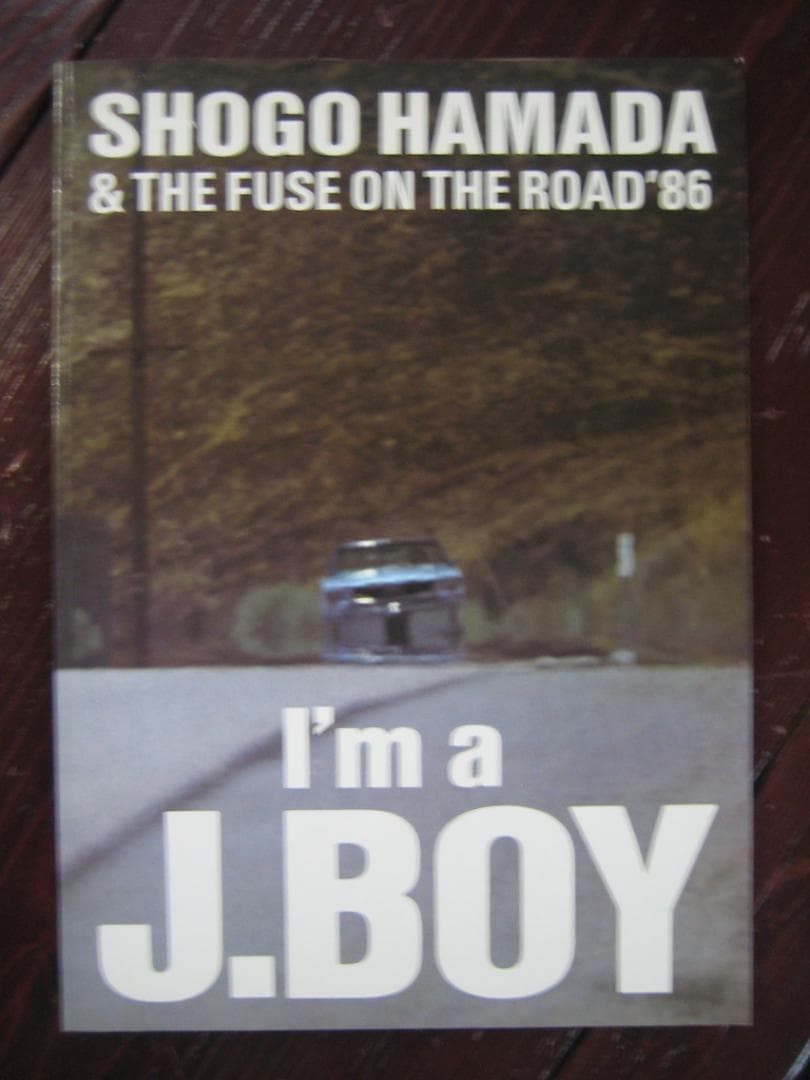 浜田省吾　　写真集・パンフレット・VHSビデオ　入手困難３点セット