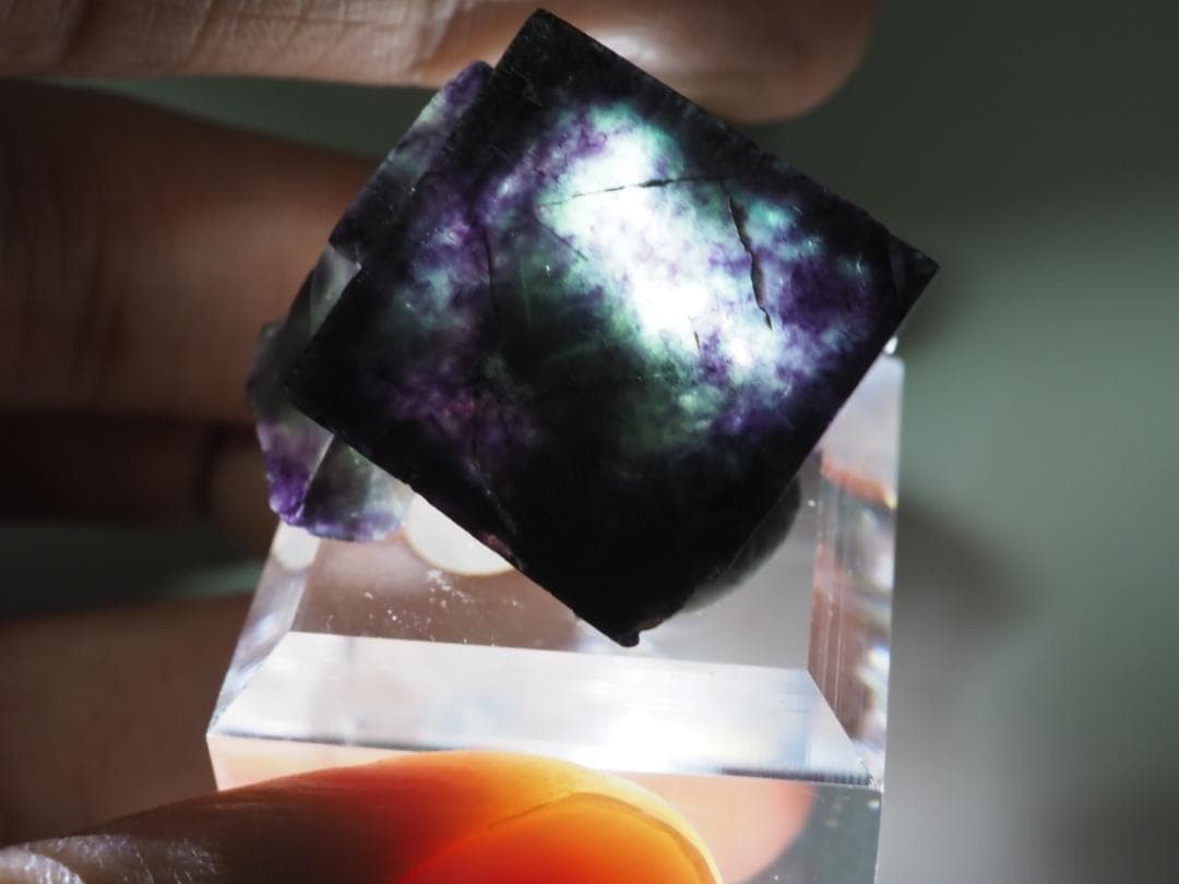 オコルス フローライト 蛍石 鉱物標本 449