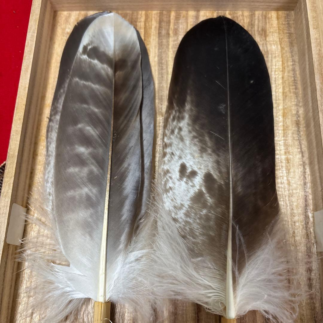 茶道具 羽根セット 木箱入り羽箒