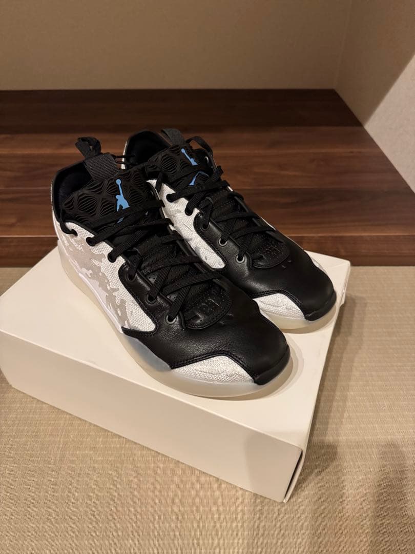 シューズ(男性用) NIKE Air Jordan 39