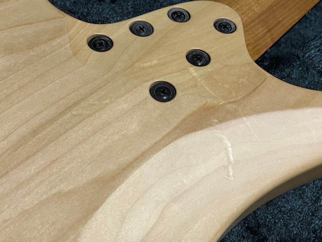 【8弦】strandberg J8 standard special