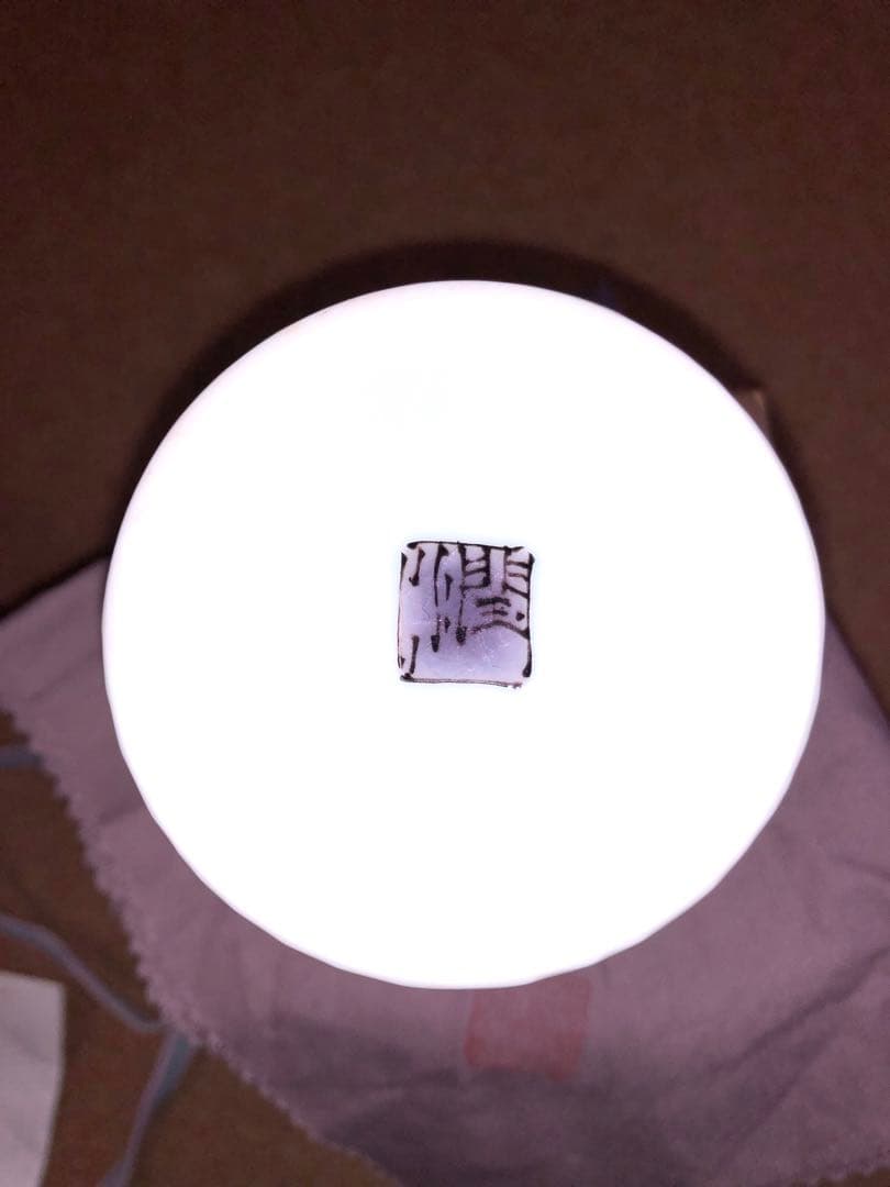 武腰 潤　川蝉の絵　フリーカップ