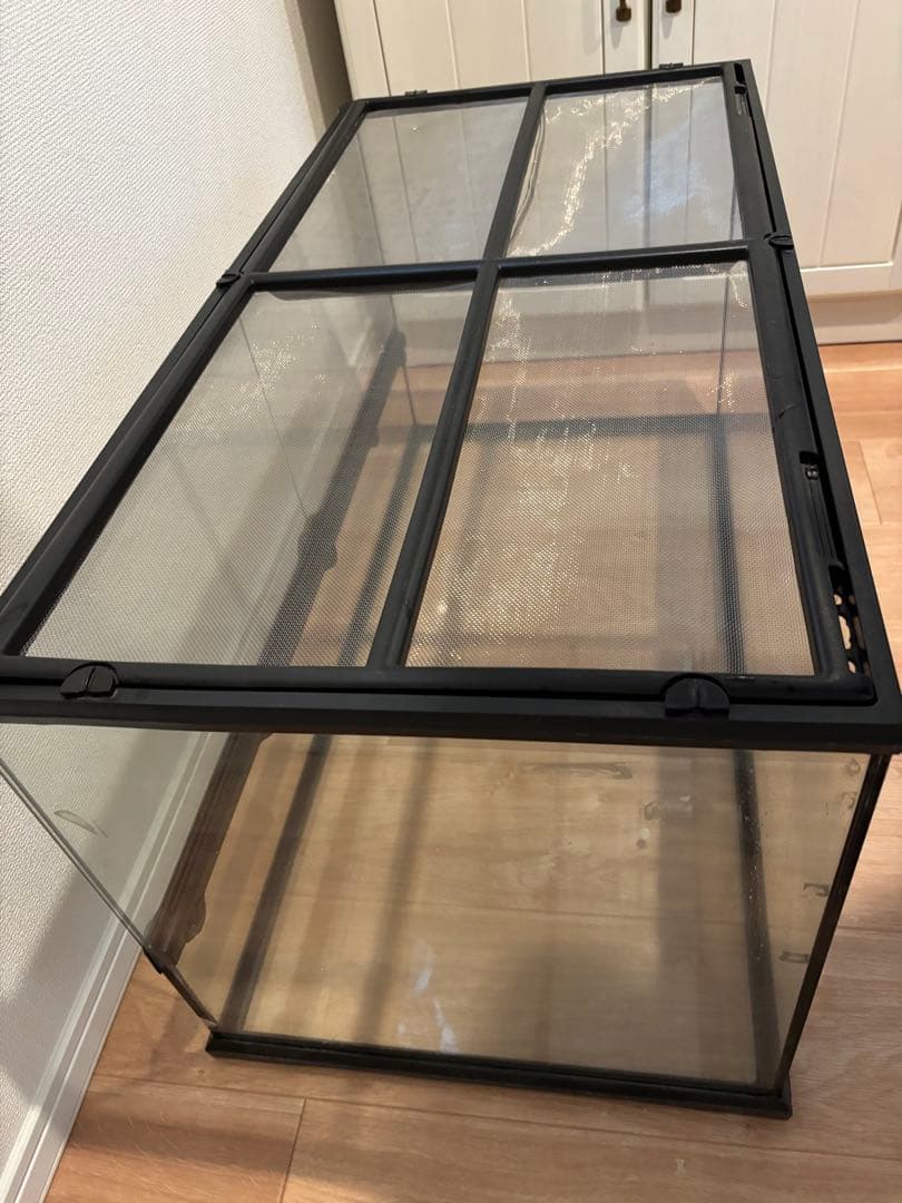 エキゾテラ　グラステラリウム9045 おまけもあります