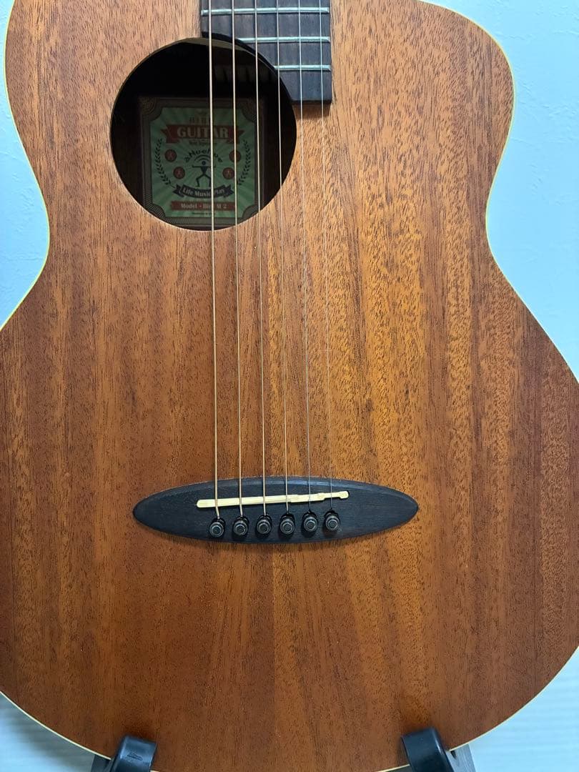 aNueNue （アヌエヌエ）Bird M2