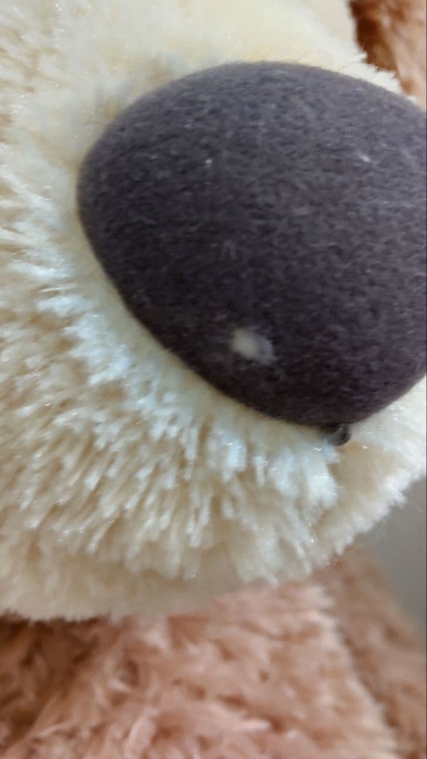 【値下げ】シェリーメイ　Lサイズぬいぐるみ