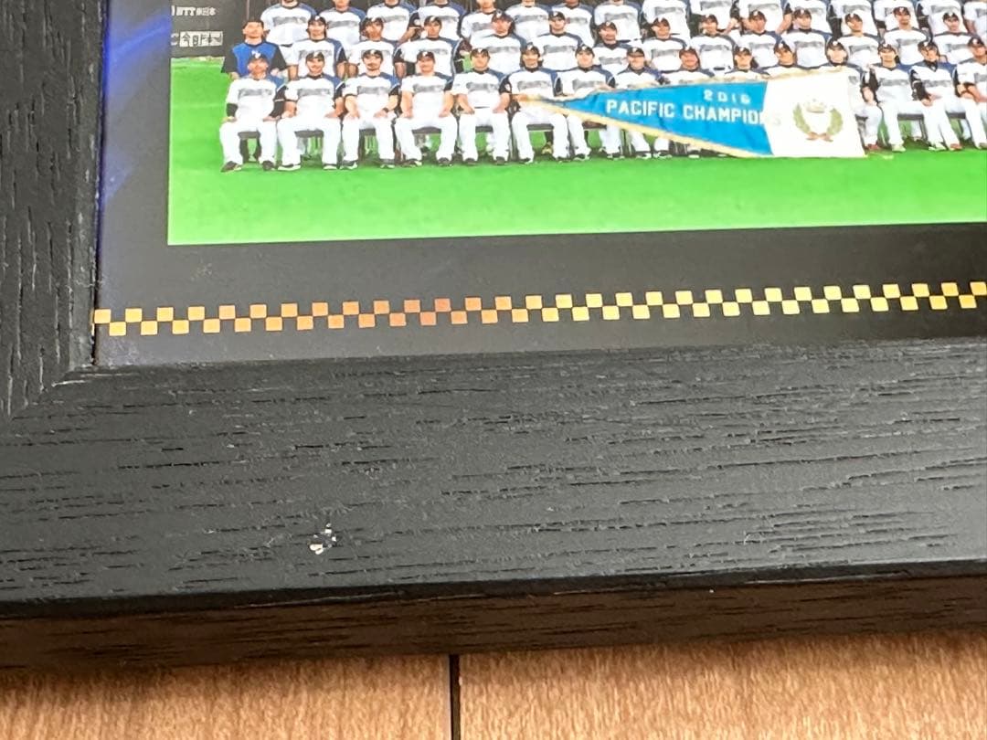 日本ハム　優勝　写真　2016