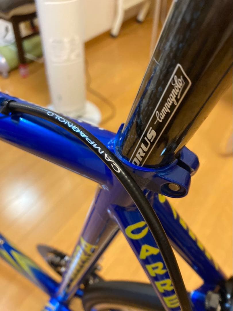 CARRERA zeus 青:カラーオーダー