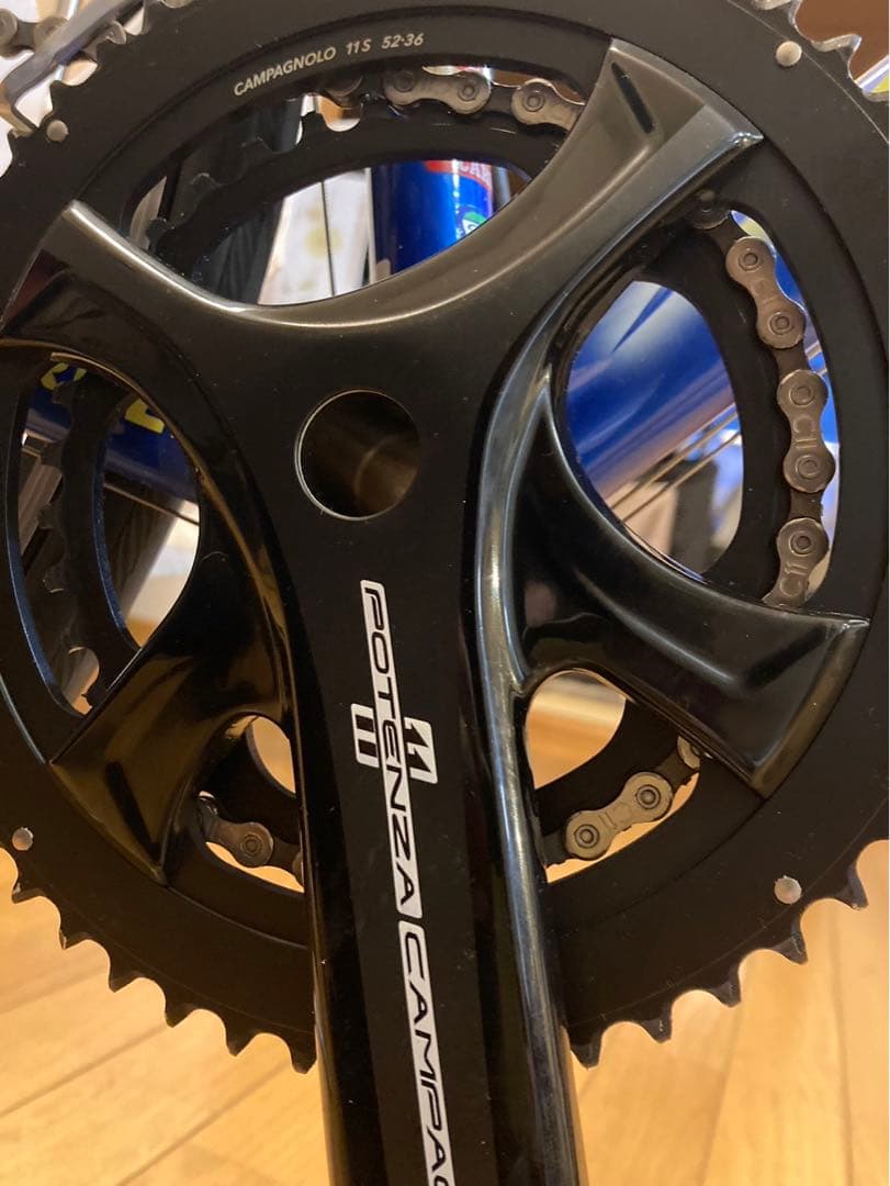 CARRERA zeus 青:カラーオーダー