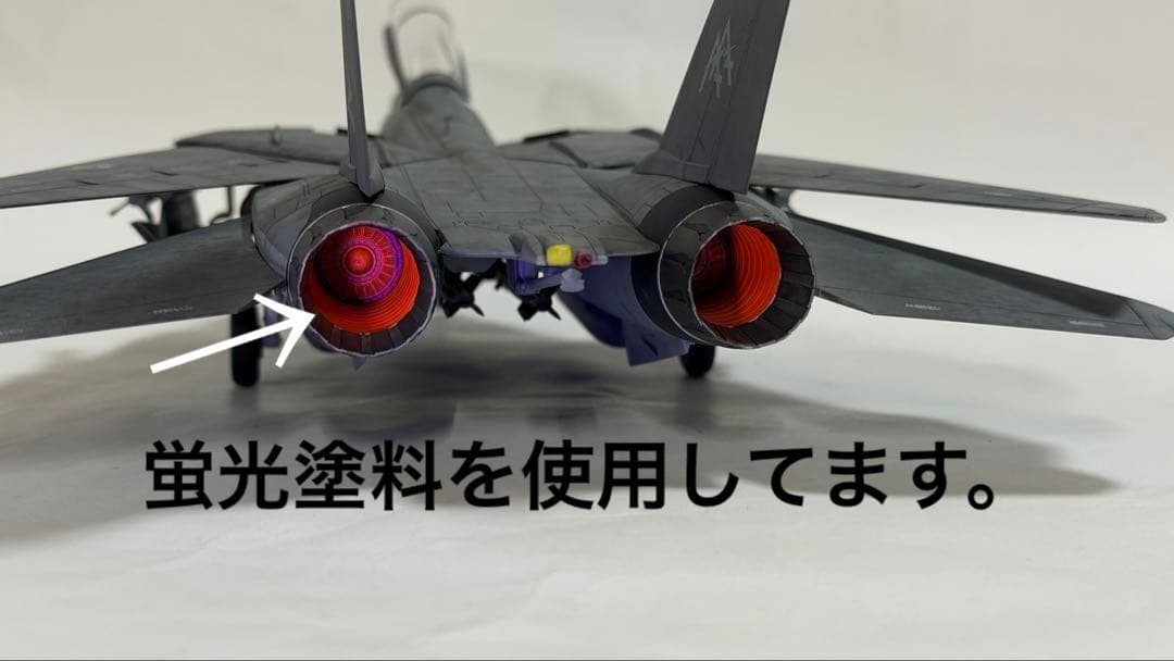 タミヤ 1/48 ジョリーロジャース仕様F-14D トムキャット 完成品