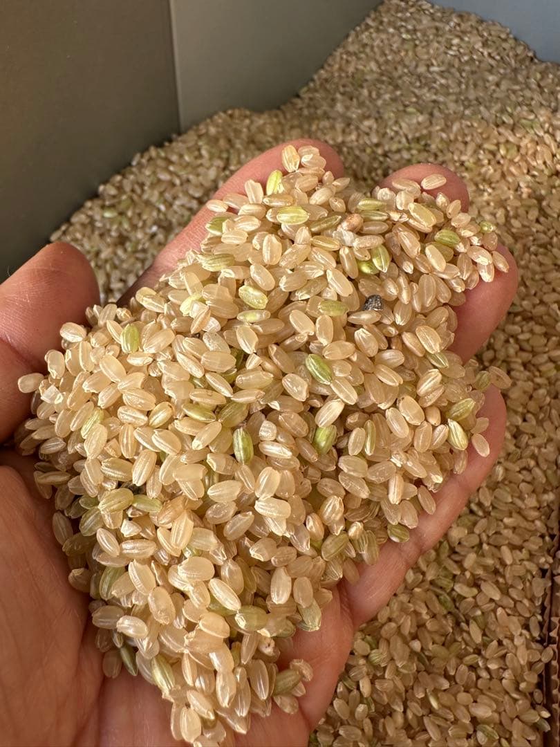 7年度産お米(農家直産)