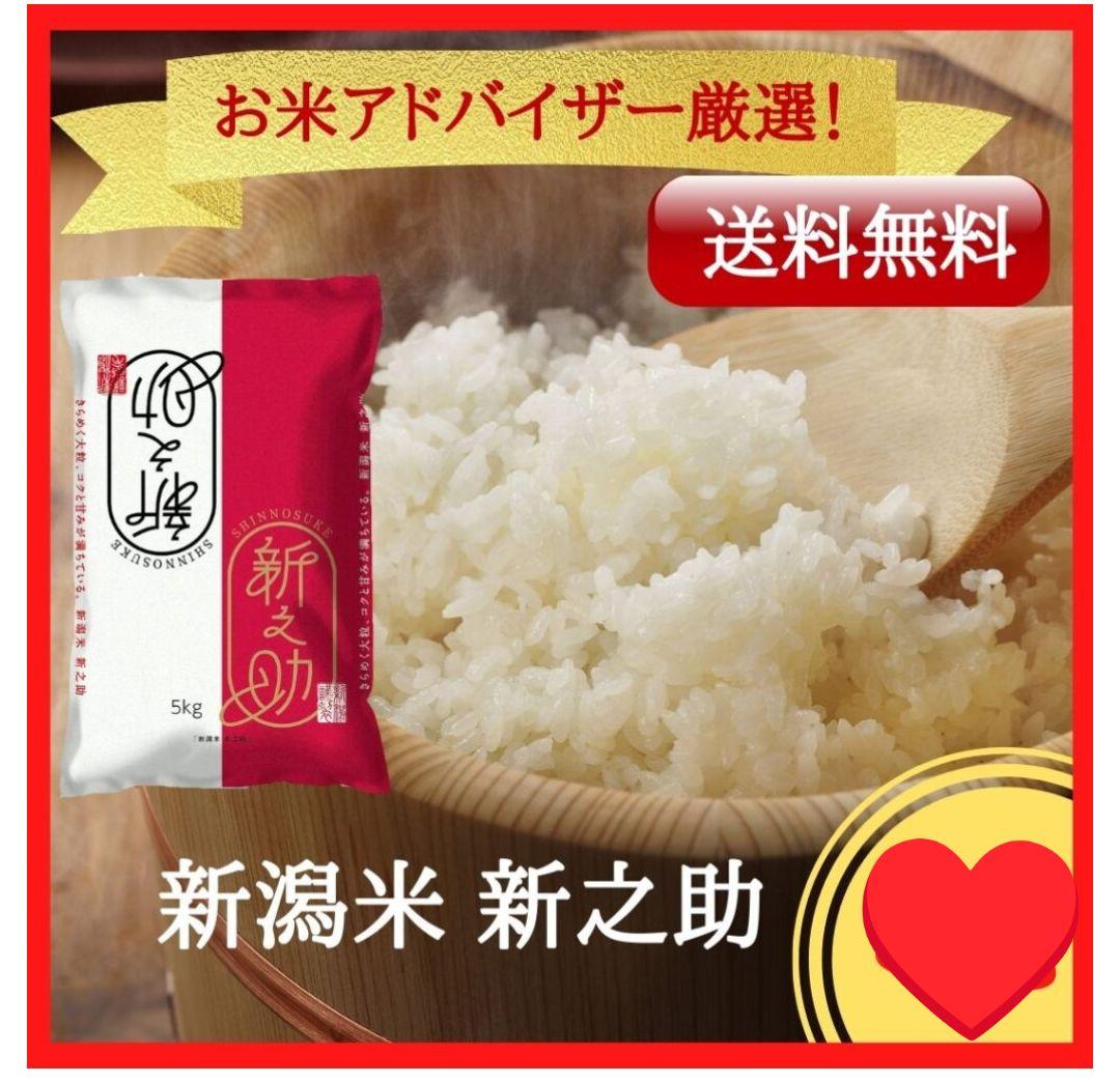 新潟産 新之助 白米 10kg(5kg×2袋)