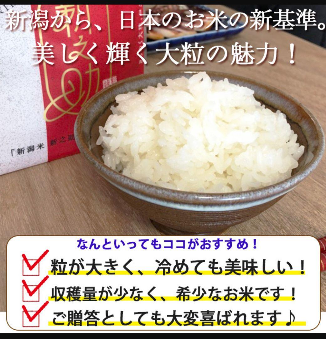 新潟産 新之助 白米 10kg(5kg×2袋)